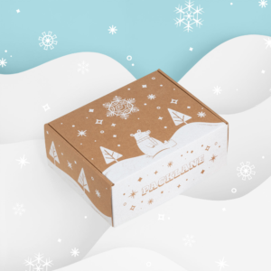 Christmas Mailer Boxes