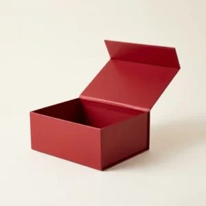 Christmas Boxes with Magnetic Closure
